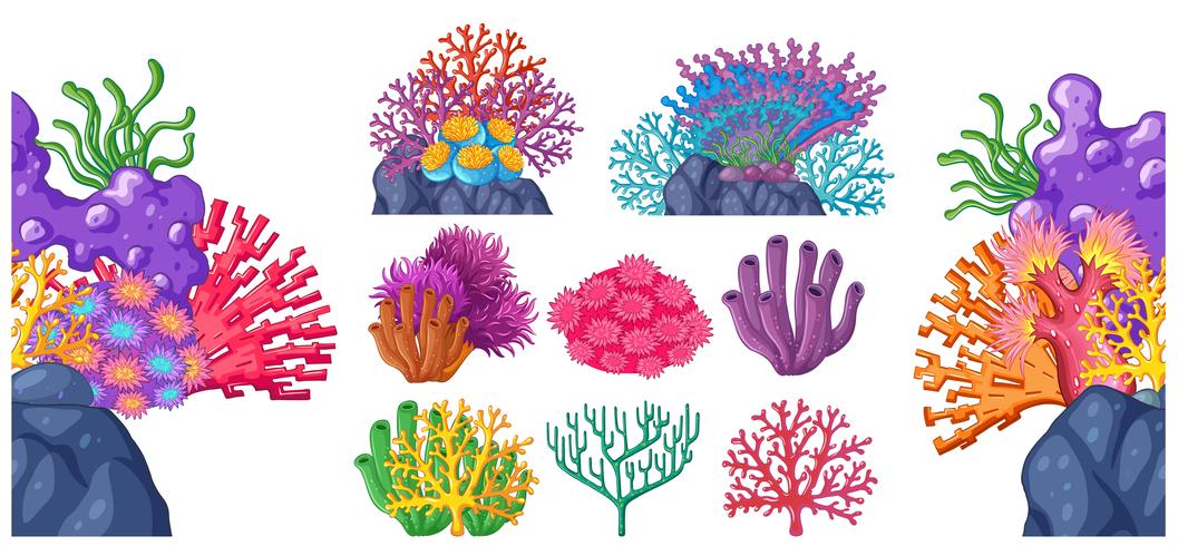 Verschiedene Arten von Korallenriffen vektor