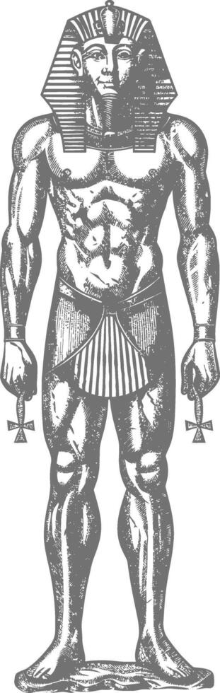 farao manlig de egypten mytisk varelse bild använder sig av gammal gravyr stil vektor