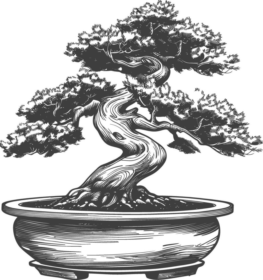 Bonsai Baum Bilder mit alt Gravur Stil Körper schwarz Farbe nur vektor