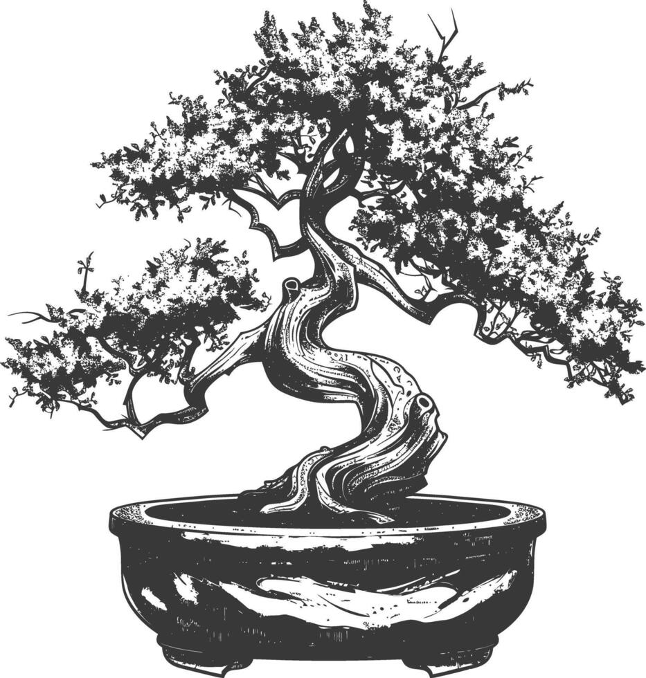 Bonsai Baum Bilder mit alt Gravur Stil Körper schwarz Farbe nur vektor