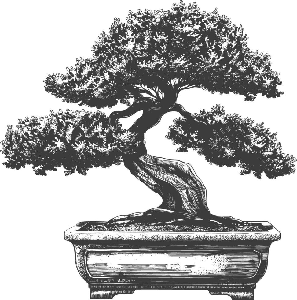 Bonsai Baum Bilder mit alt Gravur Stil Körper schwarz Farbe nur vektor