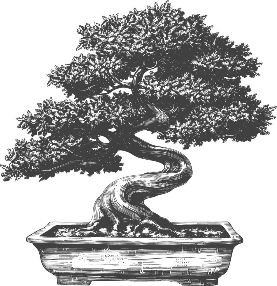 Bonsai Baum Bilder mit alt Gravur Stil Körper schwarz Farbe nur vektor