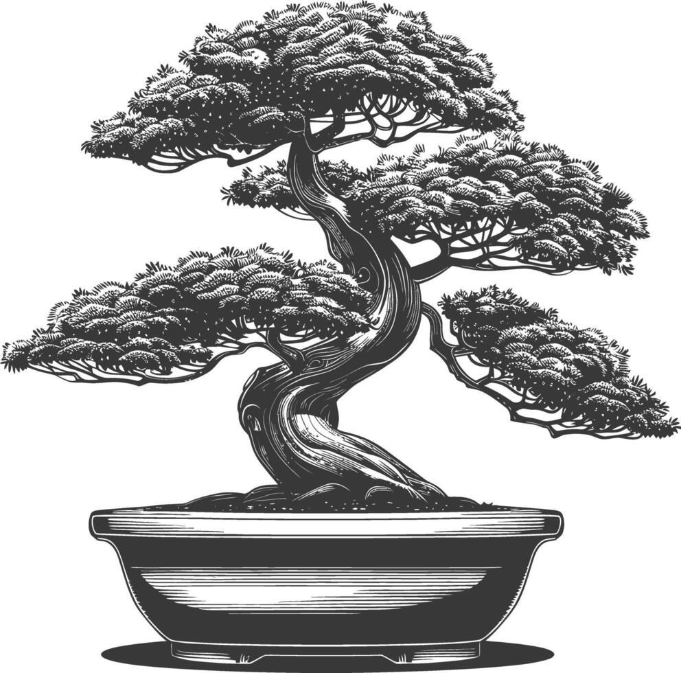 Bonsai Baum Bilder mit alt Gravur Stil Körper schwarz Farbe nur vektor