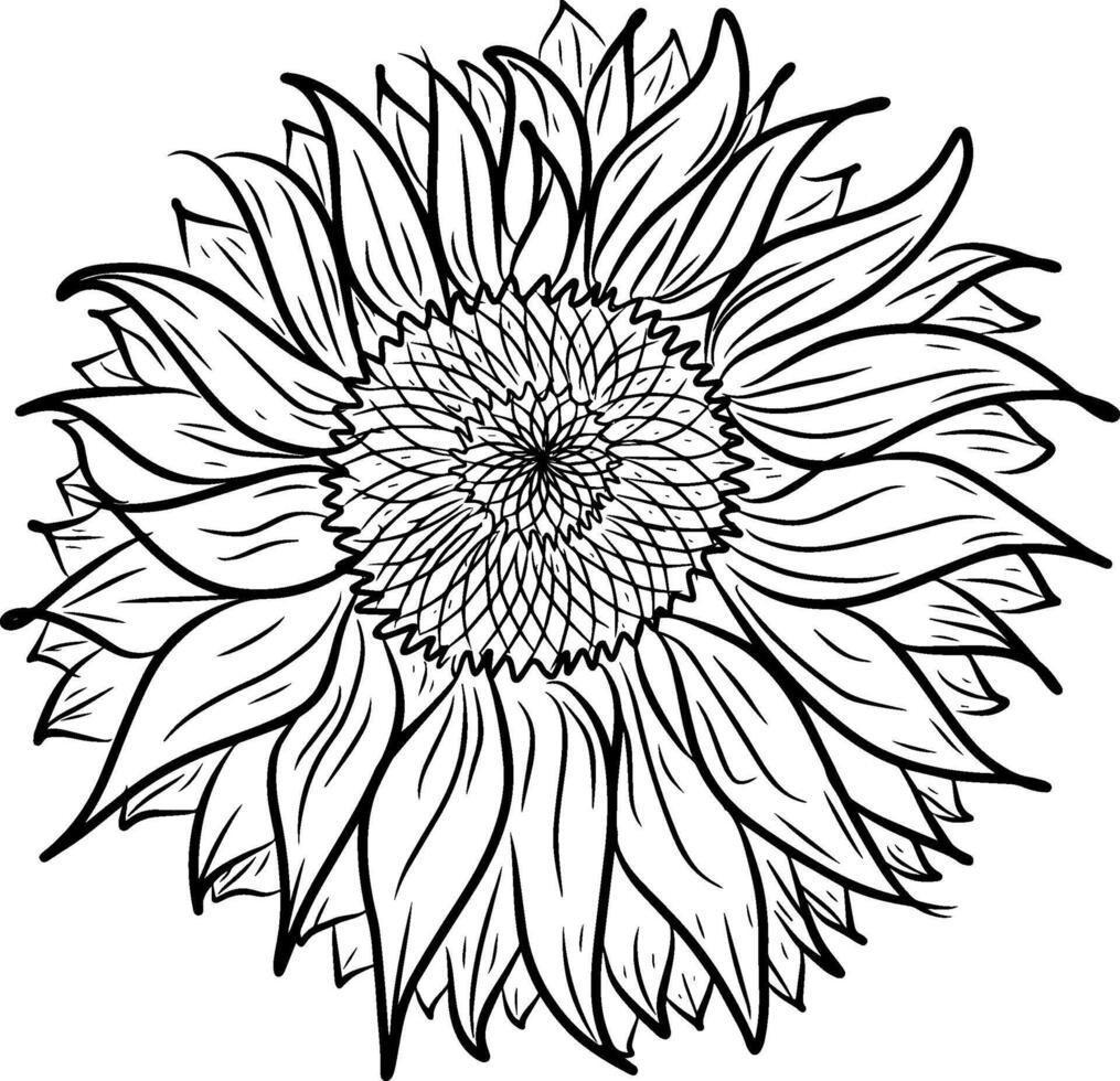Hand Zeichnung Linie von Sonnenblume Design Grafik Illustration vektor