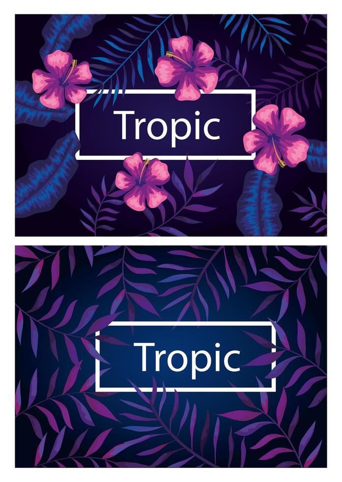 Satz von Rahmen tropisch mit Blumen und Blättern vektor