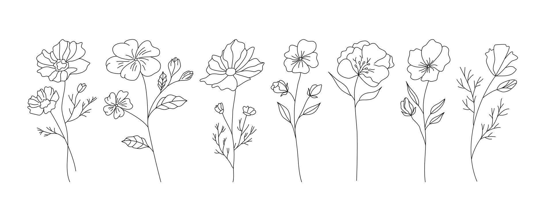 Hand gezeichnet wild Feld Flora, Blumen, Blätter, Kräuter, Pflanzen, Geäst. minimal Blumen- botanisch Linie Kunst. Illustration zum Logo oder Tätowierung, Einladungen, speichern das Datum Karte vektor