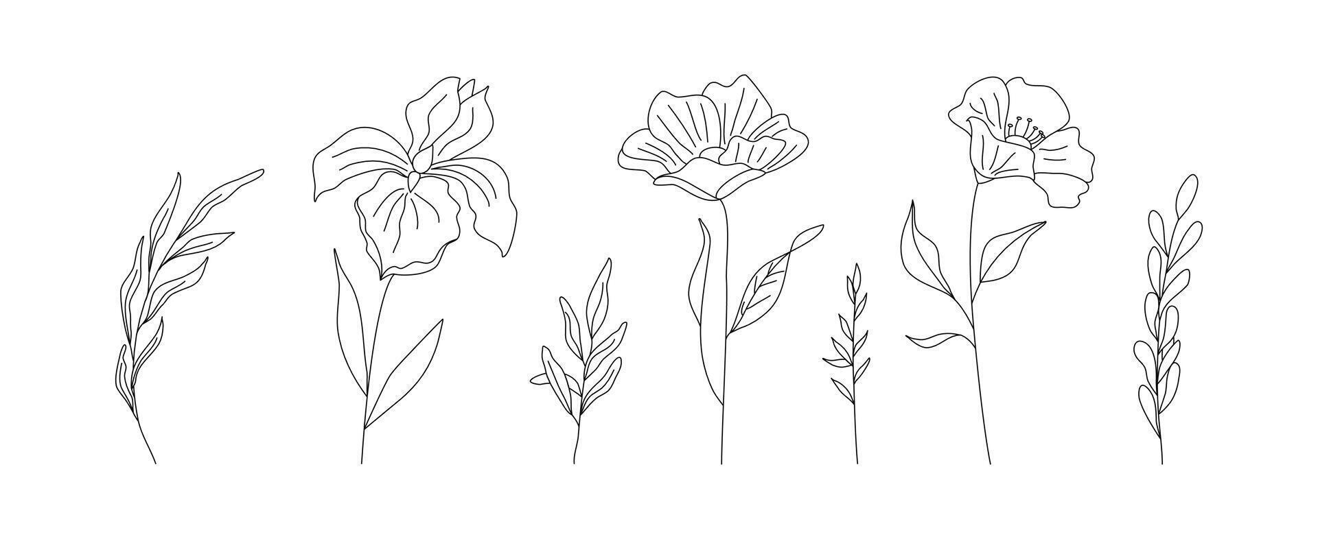 hand dragen vild fält flora, blommor, löv, örter, växter, grenar. minimal blommig botanisk linje konst. illustration för logotyp eller tatuering, inbjudningar, spara de datum kort vektor