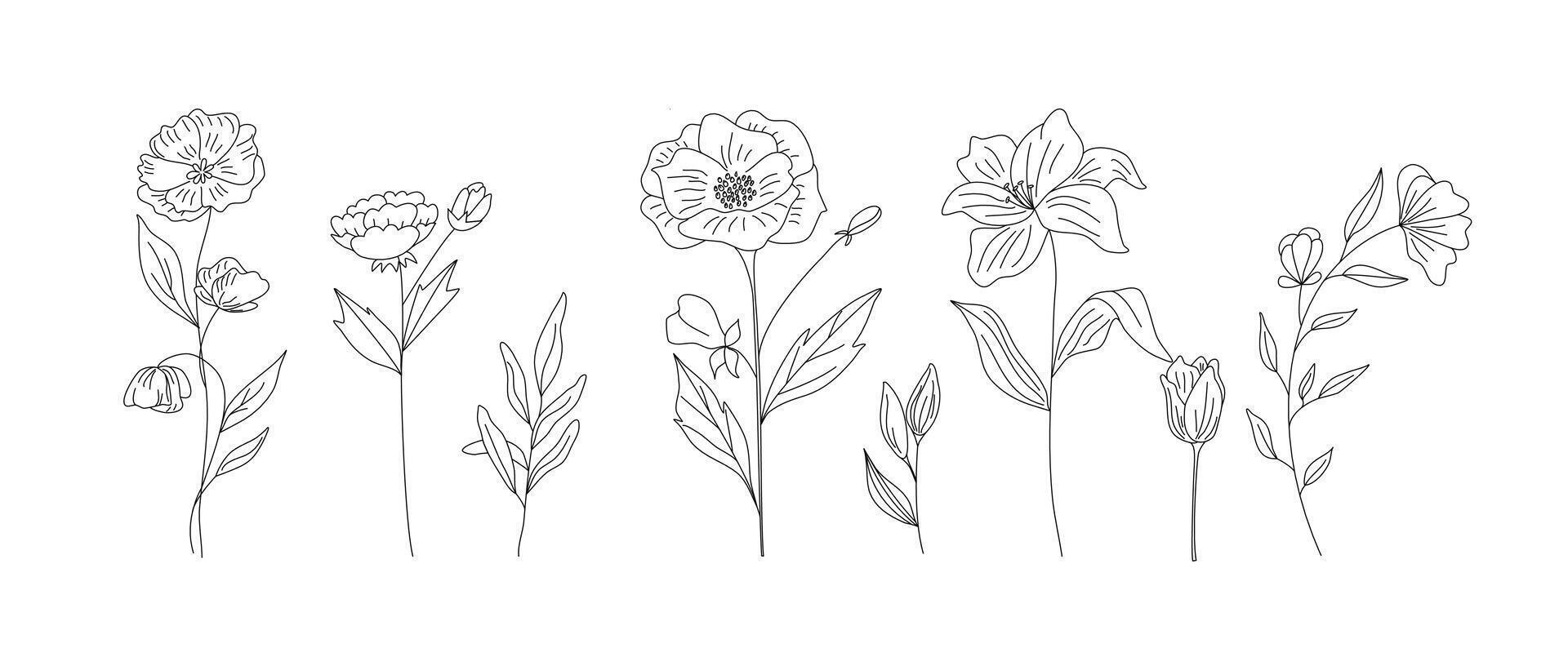 Hand gezeichnet wild Feld Flora, Blumen, Blätter, Kräuter, Pflanzen, Geäst. minimal Blumen- botanisch Linie Kunst. Illustration zum Logo oder Tätowierung, Einladungen, speichern das Datum Karte vektor