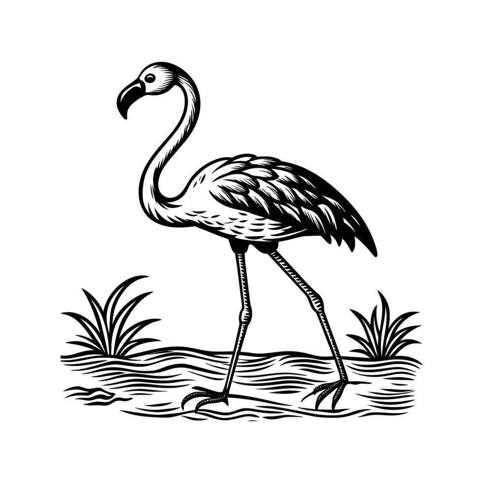 svart flamingo isolerat på vit bakgrund vektor