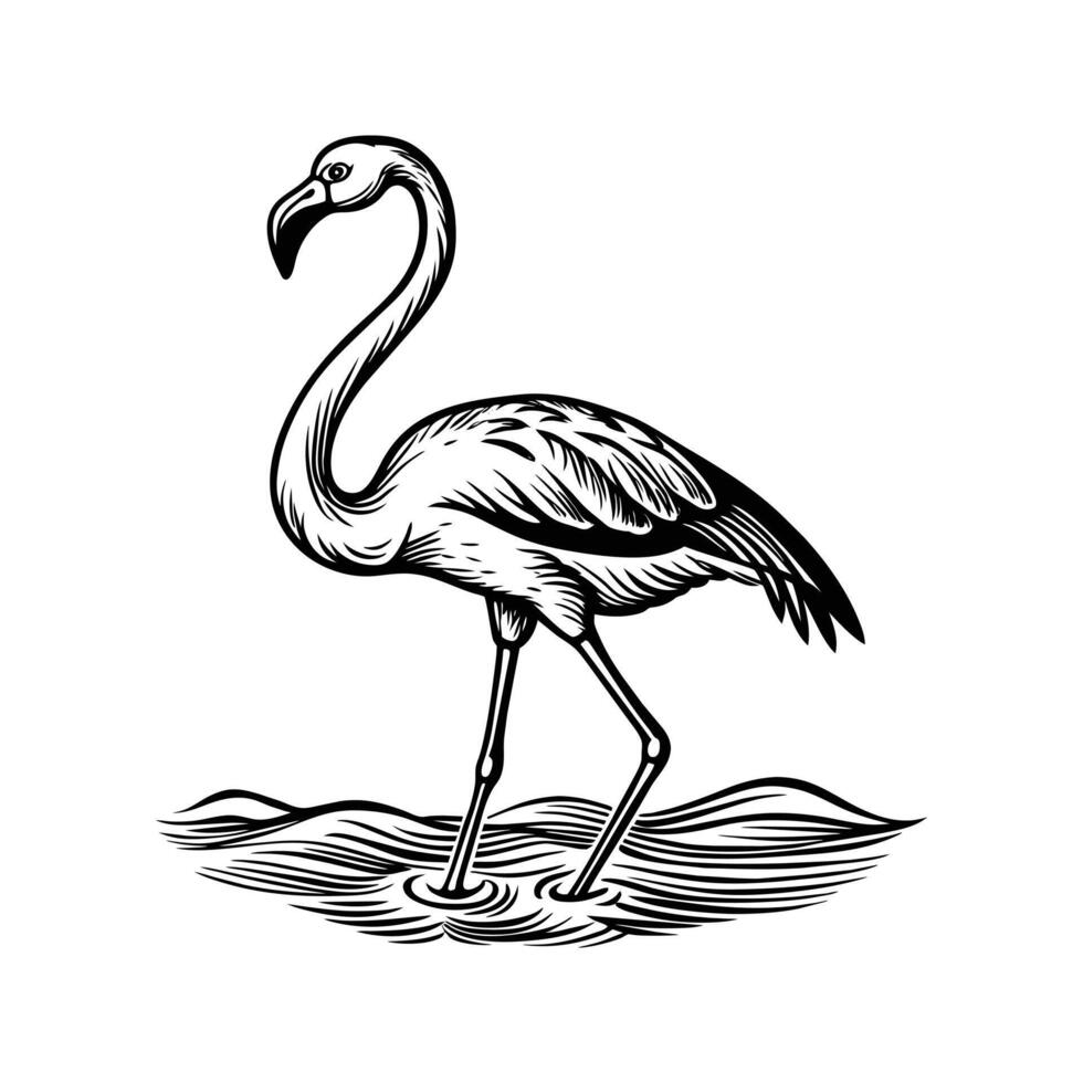 svart flamingo isolerat på vit bakgrund vektor