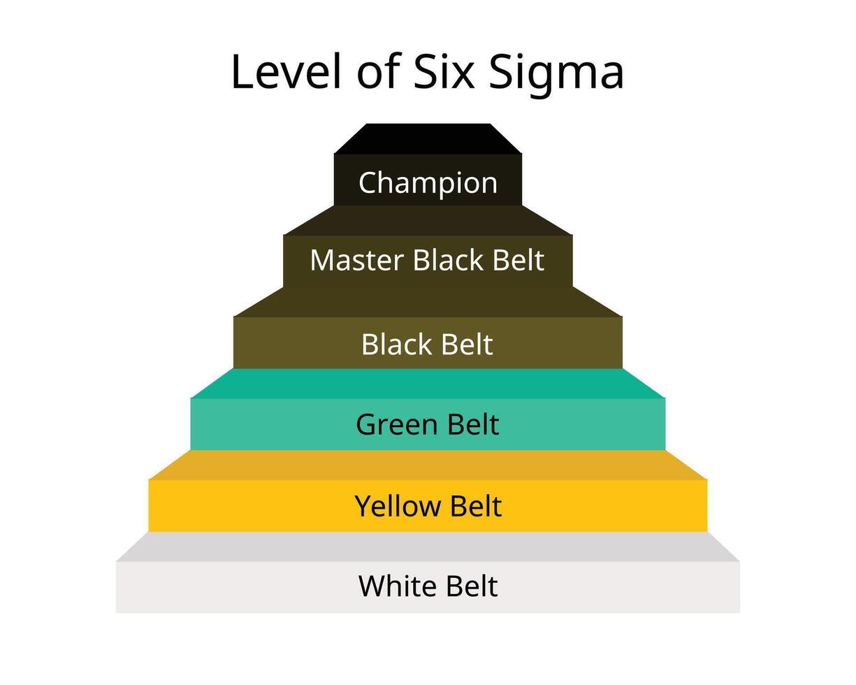 Niveau von sechs Sigma zum Champion, Meister schwarz Gürtel, Schwarz, Grün, Gelb Gürtel, Weiß Gürtel vektor