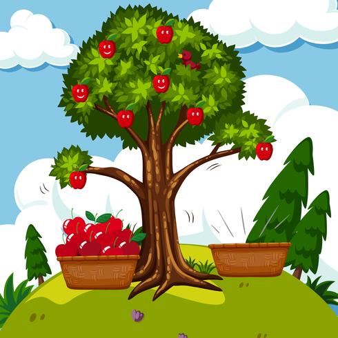 Rött äppelträd i fältet vektor