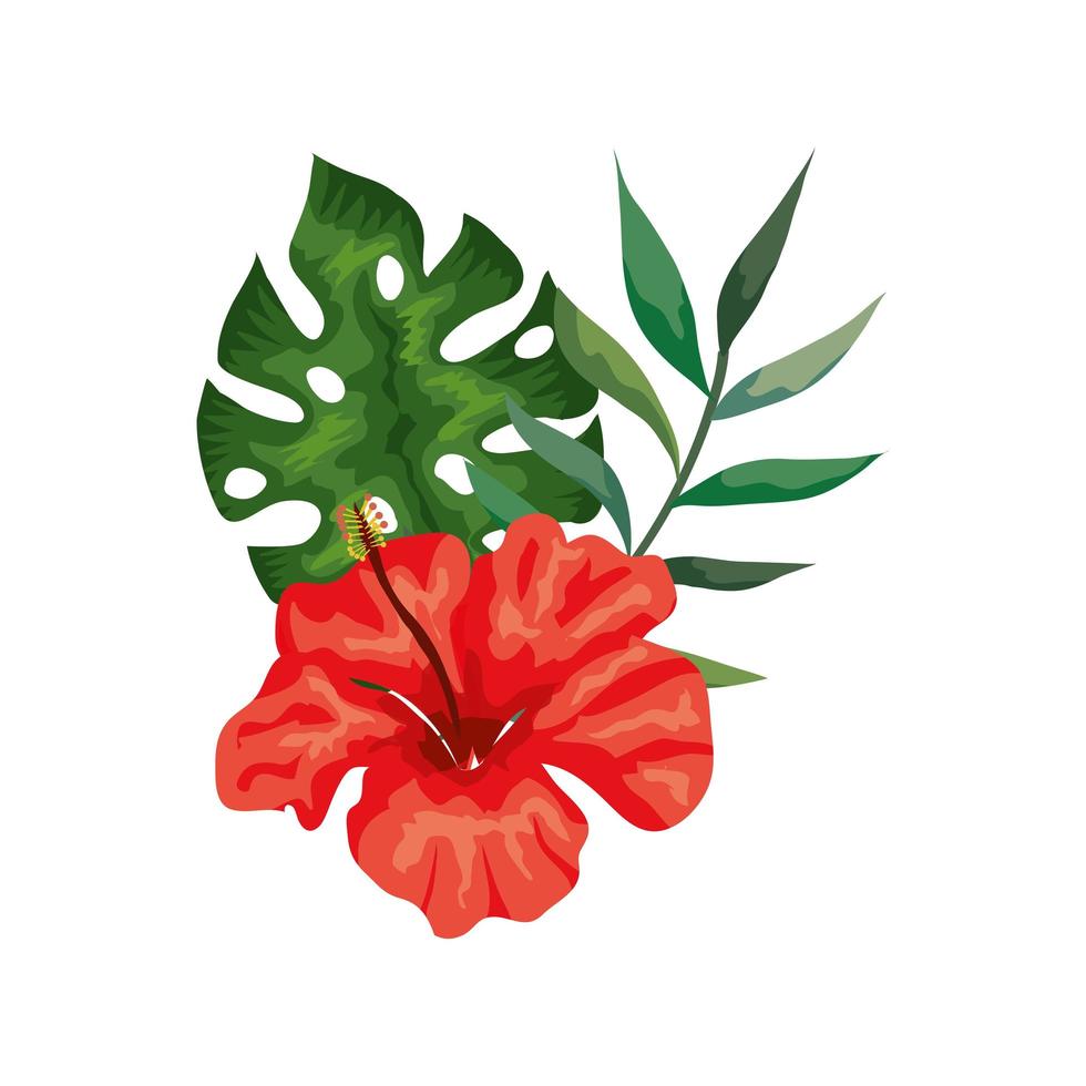naturlig blomma i röd färg med gren och blad vektor