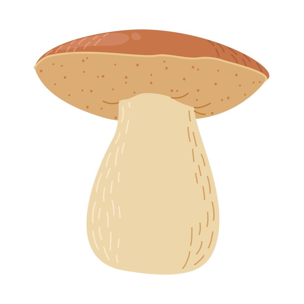 porcini skog svamp. hand dragen sopp edulis svamp. porcini färsk ätlig svamp tecknad serie stil dekor element. cep. kung bultad på vit bakgrund. penny bulle illustration vektor