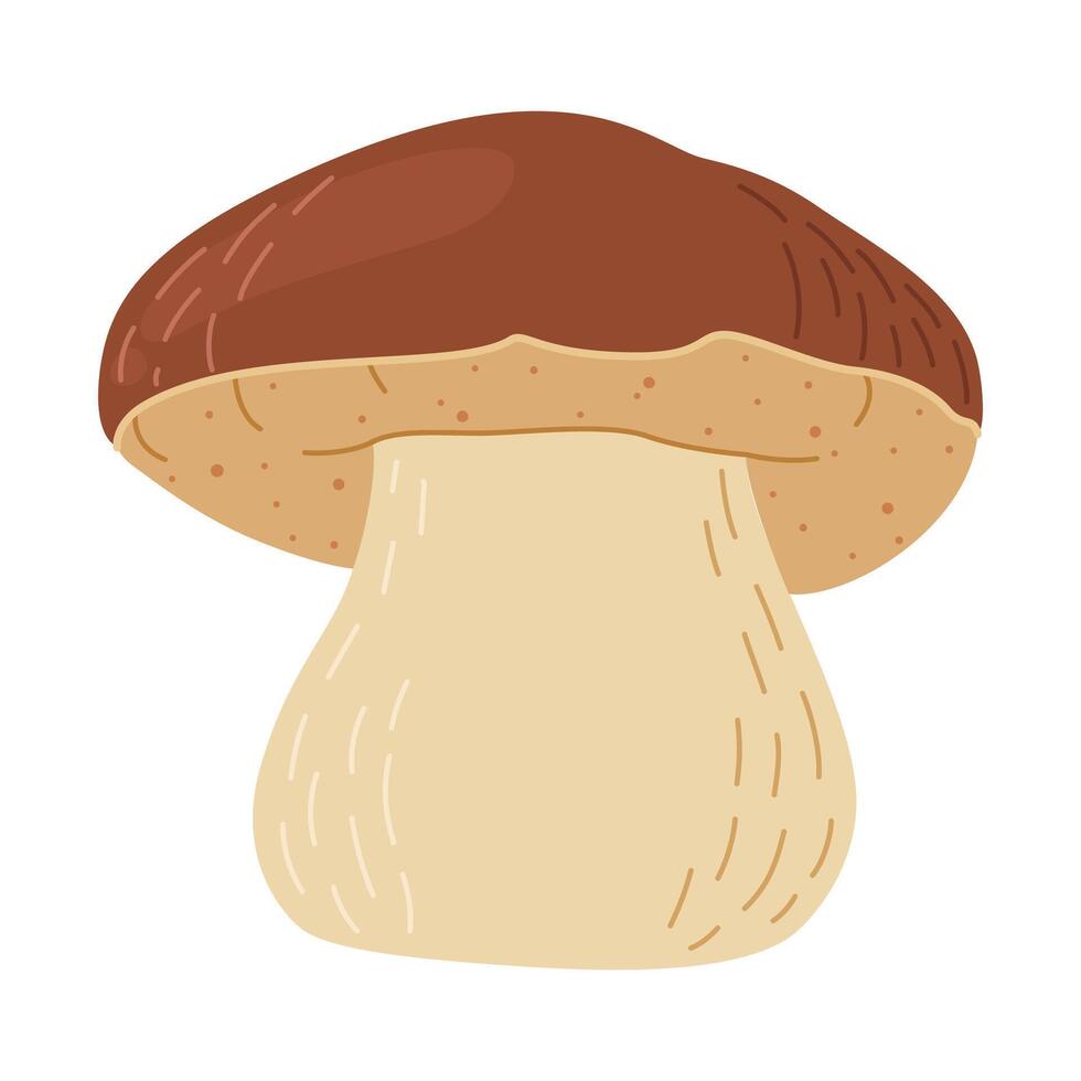 porcini skog svamp. hand dragen sopp edulis svamp. porcini färsk ätlig svamp tecknad serie stil dekor element. cep. kung bultad på vit bakgrund. penny bulle illustration vektor