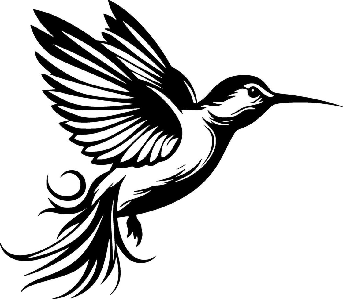 Kolibri, schwarz und Weiß Illustration vektor