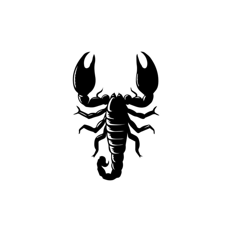 Skorpion oder Skorpion Tier Anschläge isoliert auf ein Weiß Hintergrund. Skorpion Tierkreis Symbol Tätowierung. schwarz und Weiß Hand gezeichnet vektor