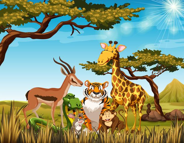 Vilda djur på savannafältet vektor