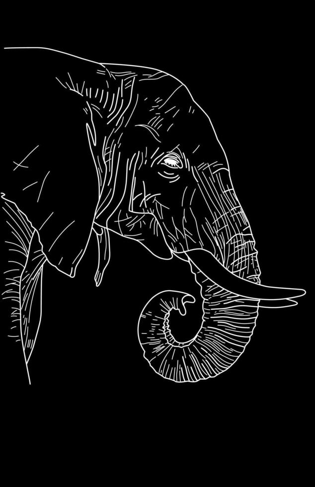 Weiß Linie Kunst von Elefant Silhouette auf schwarz Hintergrund vektor