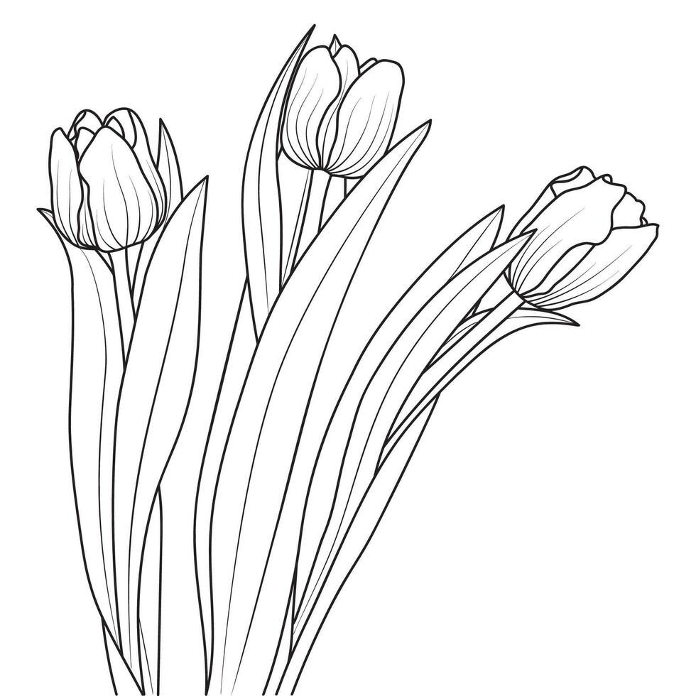 Gliederung Tulpe Blumen vektor
