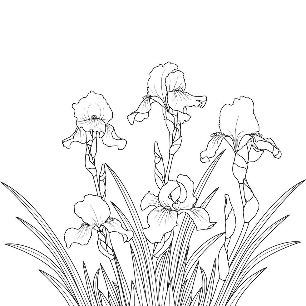 Gliederung Blühen Iris Blumen vektor