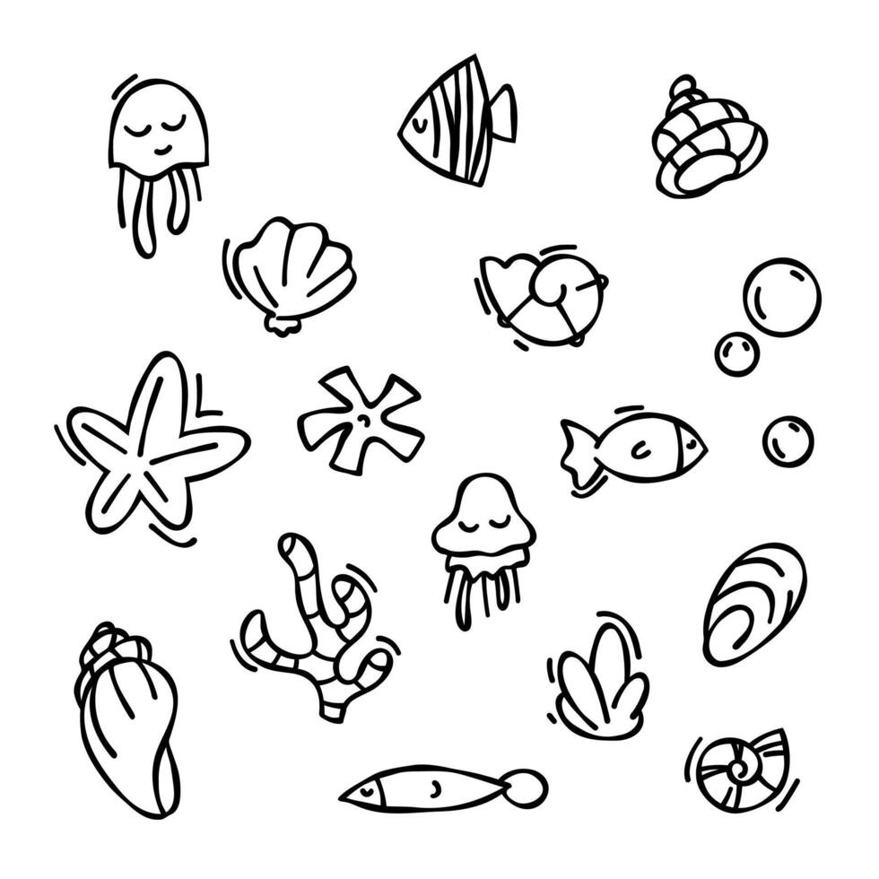einstellen von Elemente im Gekritzel Stil. gezeichnet Muscheln, Seestern, schwarz Gliederung skizzieren isoliert Elemente auf Weiß Hintergrund zum Design Vorlage. Ozean Flora vektor