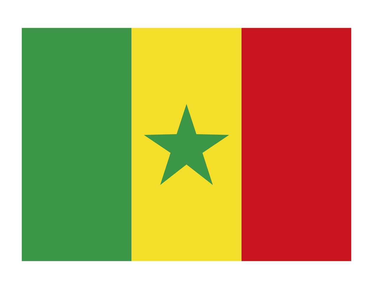 Kamerun Landesflagge vektor