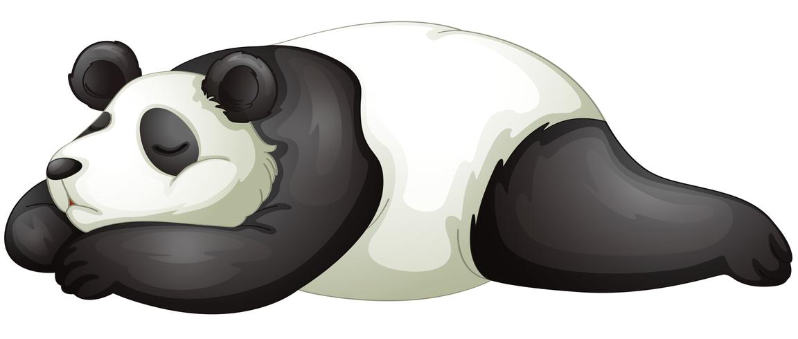 Panda vektor