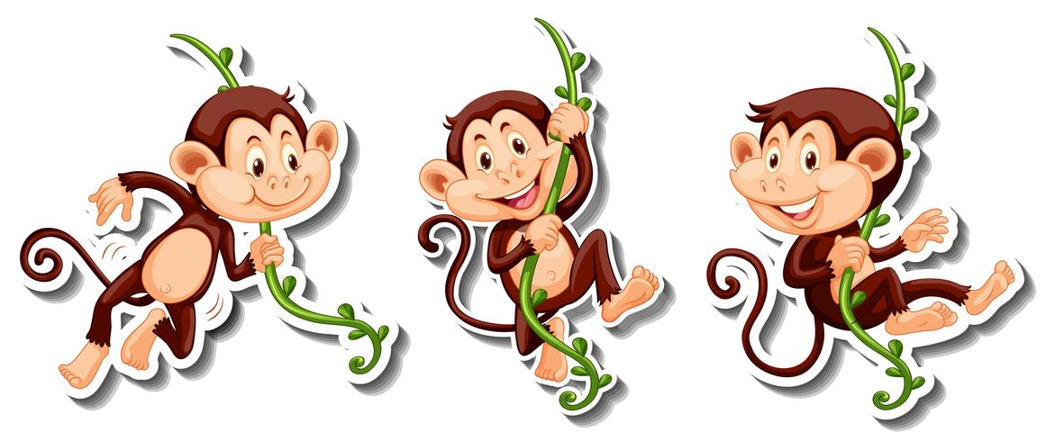 Klistermärken av apor som hänger på vinstockar vektor