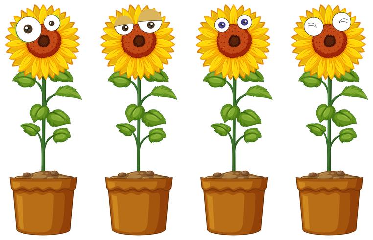 Sonnenblumen mit verschiedenen Emotionen vektor