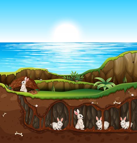 Kaninchen lebt im Untergrund vektor
