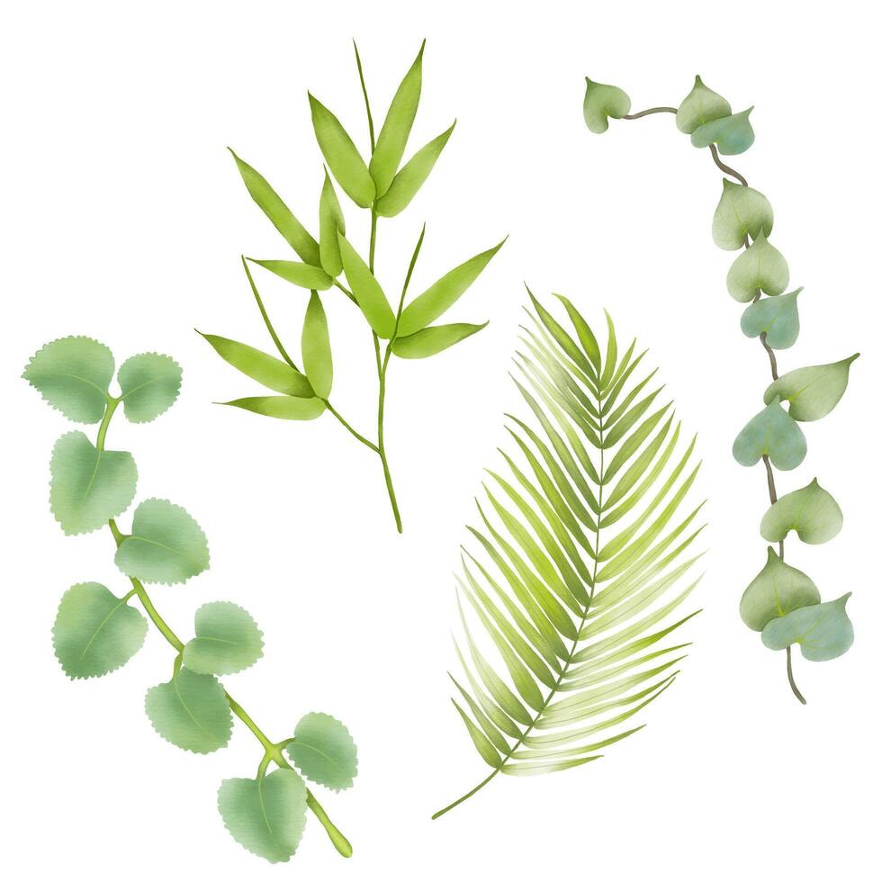 skön vattenfärg löv - botanisk ClipArt för design vektor