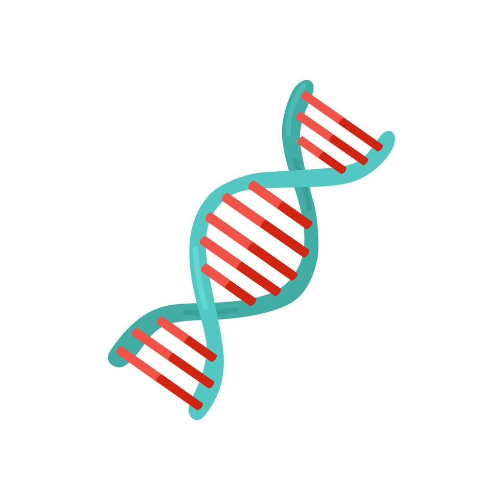 Modell- von ein DNA Molekül Illustration. vektor