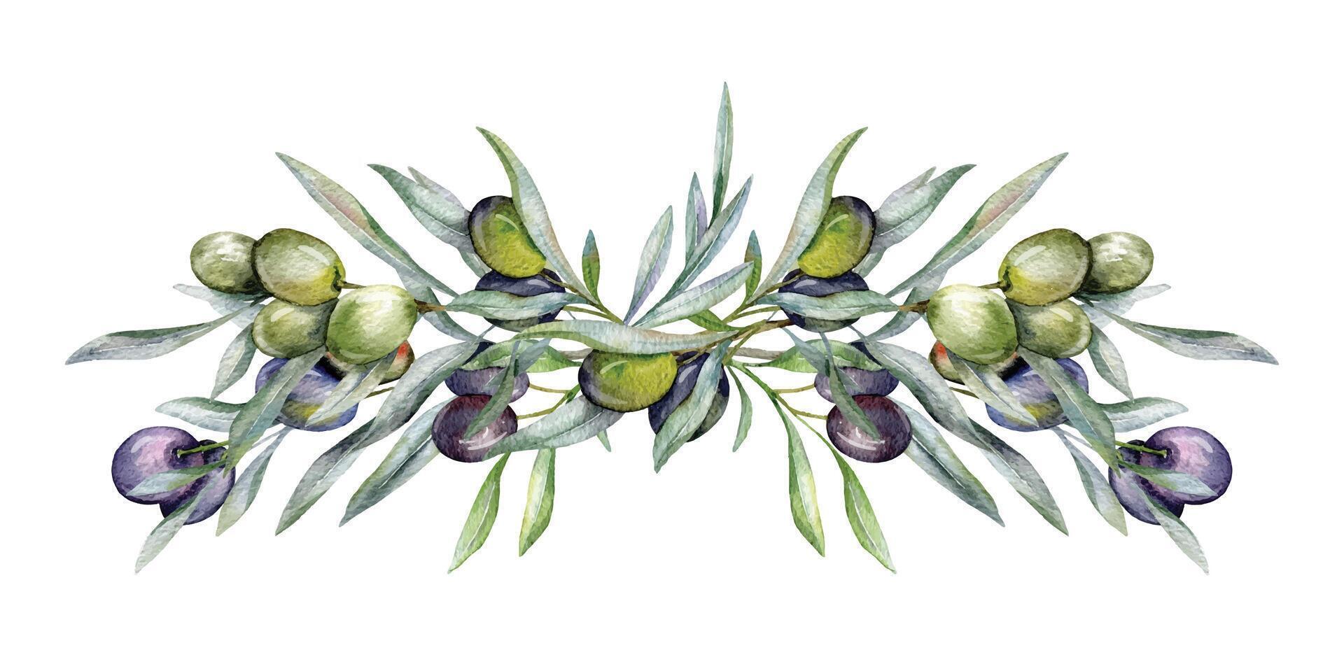 Oliven Aquarell Illustration. Olive Geäst Grün Hand gemalt Aquarell isoliert auf Weiß Hintergrund. perfekt zum Olive Hochzeit Einladungen, Blumen- Etiketten, Braut- Dusche und Gruß Karten vektor