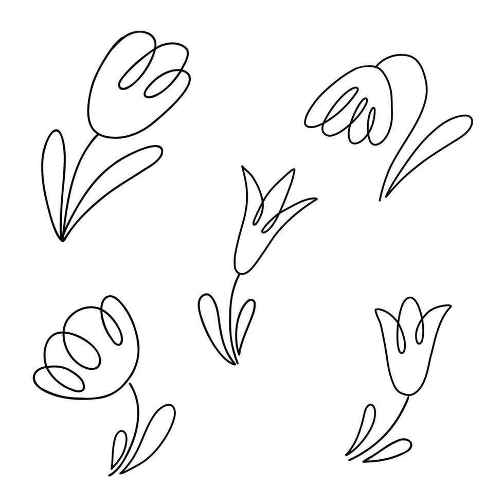 Tulpe Blumen Sammlung. Gekritzel Stil Linie Illustration isoliert auf Weiß Hintergrund. vektor