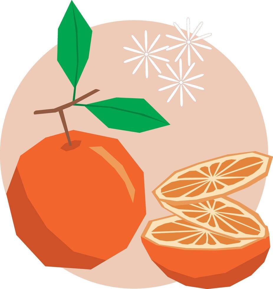 Illustration, abstrakt Orange Obst mit Blatt auf Sanft Orange Kreis Hintergrund. vektor