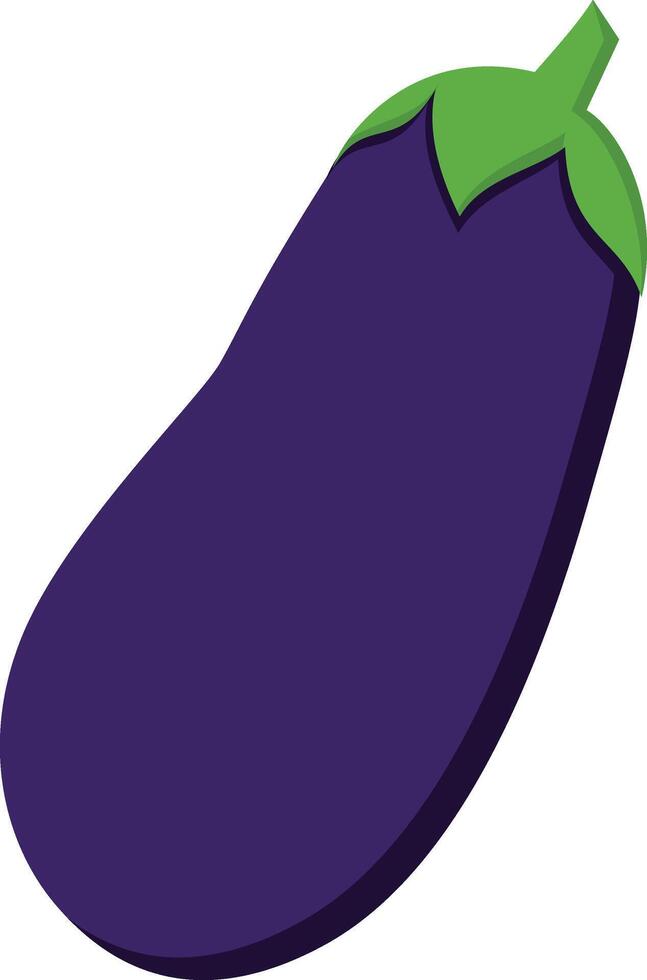 ein Aubergine ist gezeigt auf ein Weiß Hintergrund vektor