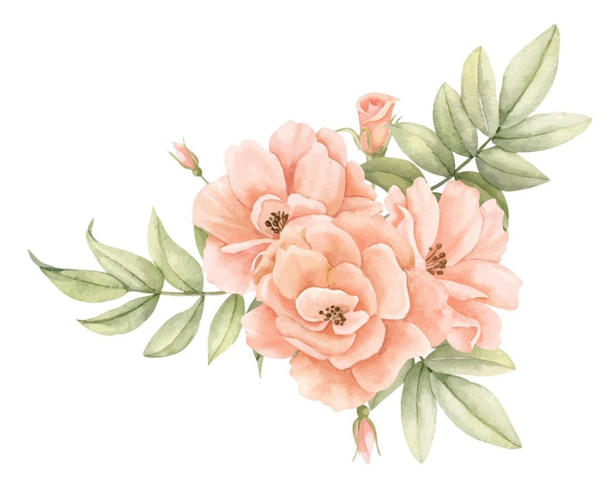 vattenfärg reste sig blommor i pastell persika rosa färger. hand dragen blommig illustration för bröllop inbjudningar eller hälsning kort på isolerat bakgrund. hörn botanisk sammansättning med grön löv vektor