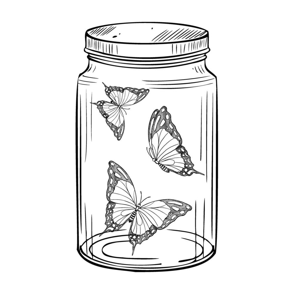 fjärilar i en glas burk. illustration av fångad insekter med linjär vingar i en flaska. teckning av flygande fjäril målad förbi svart bläck i översikt stil på isolerat bakgrund. svartvit etsa vektor