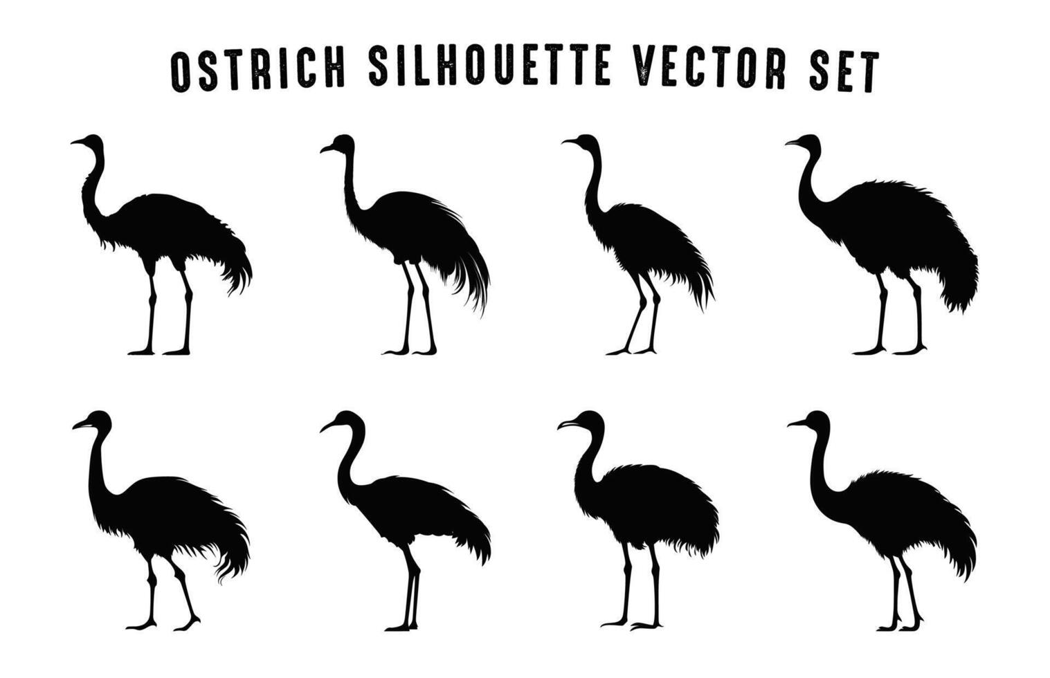 Strauß Silhouette schwarz Clip Art Satz, Strauß Vogel Silhouetten Sammlung vektor