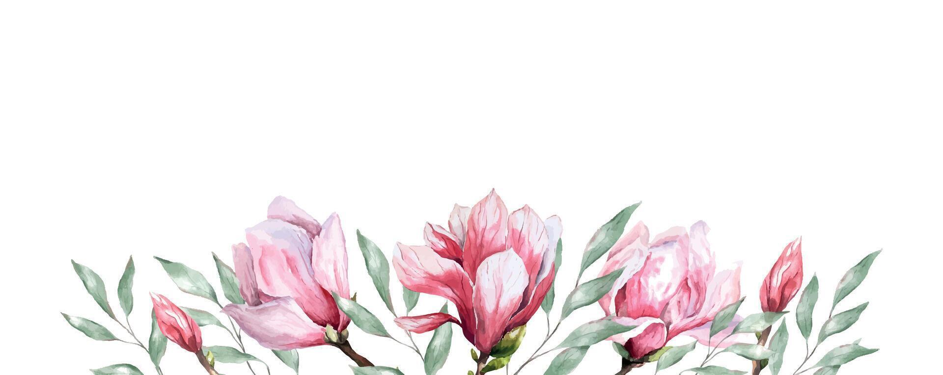 färsk magnolia blomma botanisk vattenfärg illustration blommig design kronblad blomning vår tropisk rosa skön växt gräns bakgrund mall vektor