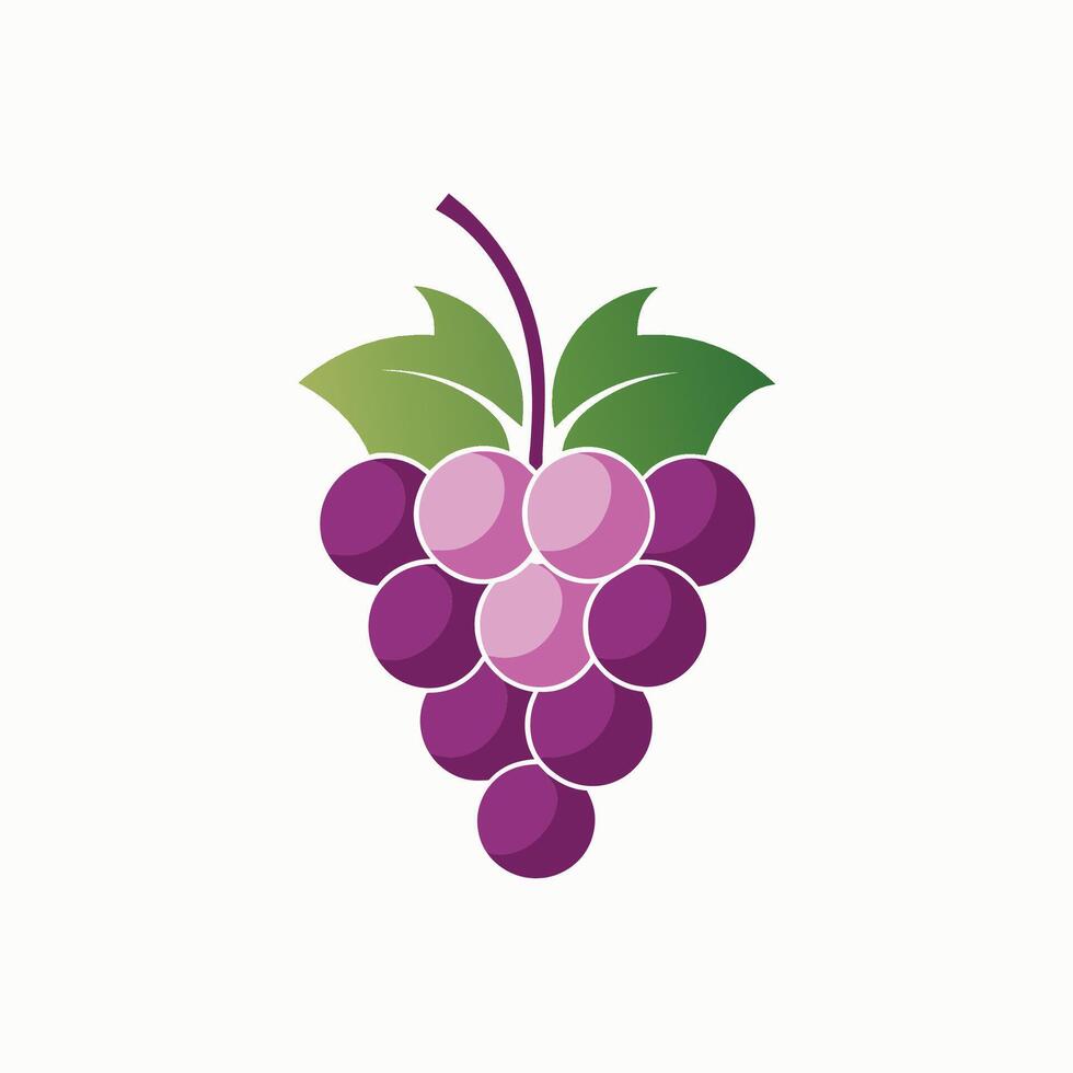 Cluster von Trauben angezeigt auf ein einfach Weiß Oberfläche, sich entwickeln ein glatt Logo zum ein Spezialität Wein Geschäft mit nur ein minimalistisch Traube Bündel vektor