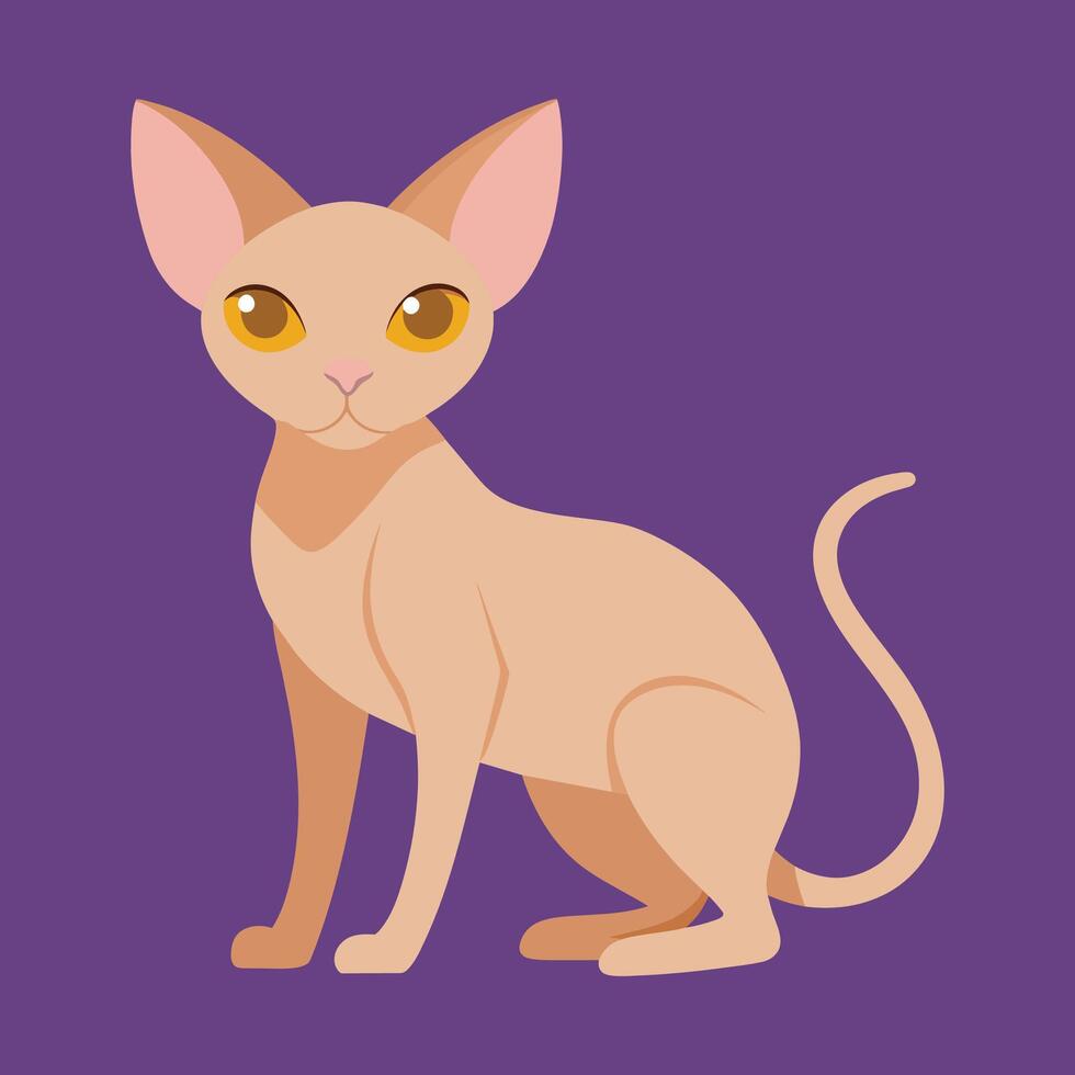sphynx katt tecknad serie djur- illustration vektor