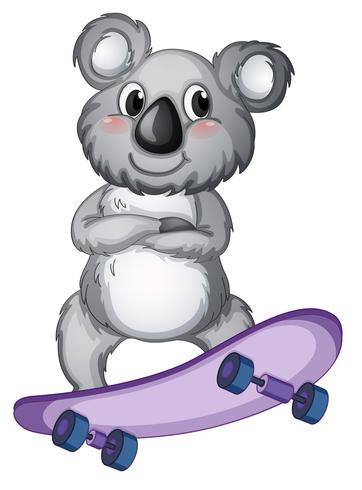 En koala som spelar skateboard vektor