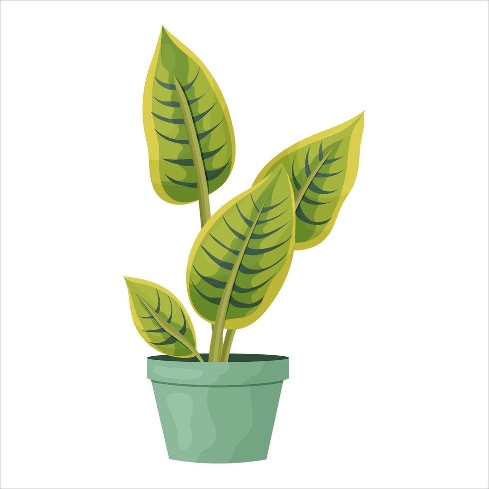Illustration von ein eingetopft Zimmerpflanze mit Blätter. vektor