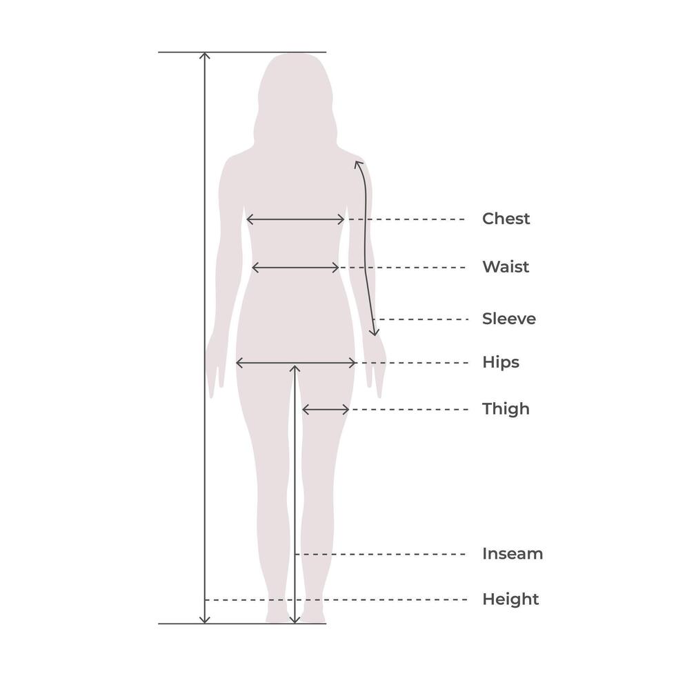 kvinna kvinna kropp mått proportioner för Kläder design och sömnad Diagram för mode illustration vektor