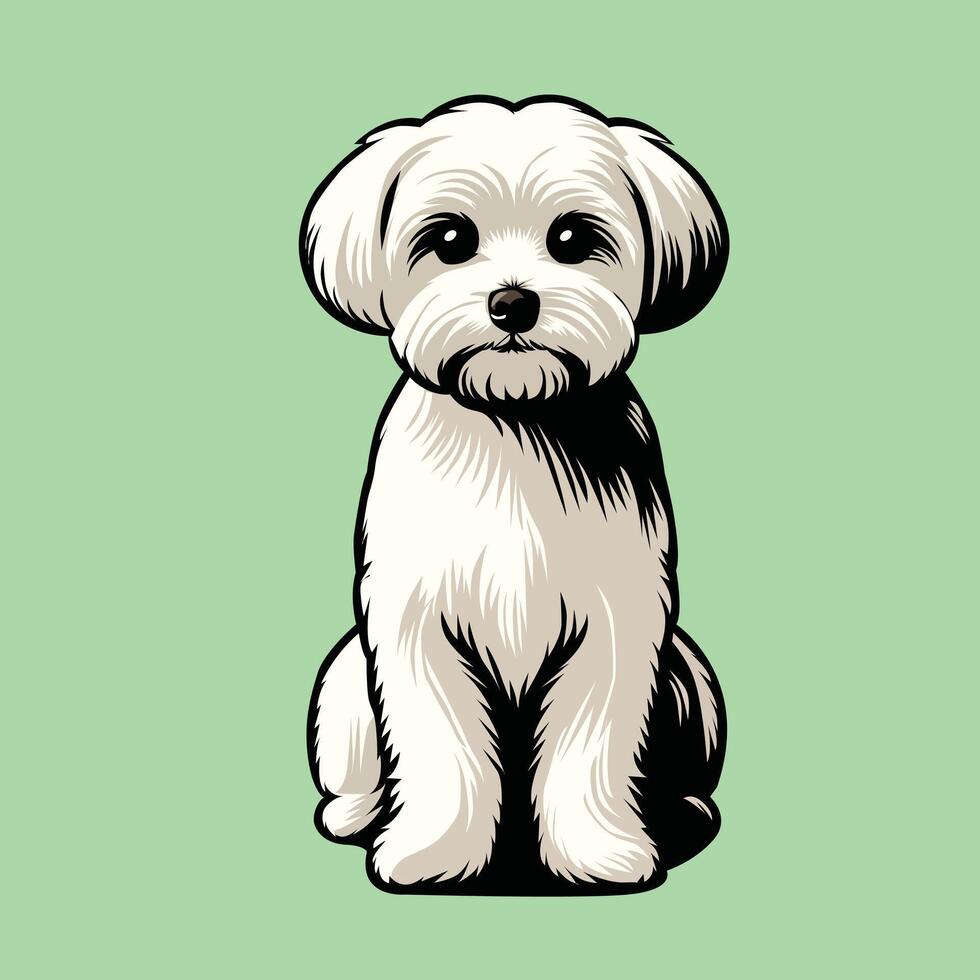 maltese hund Sammanträde illustration vektor