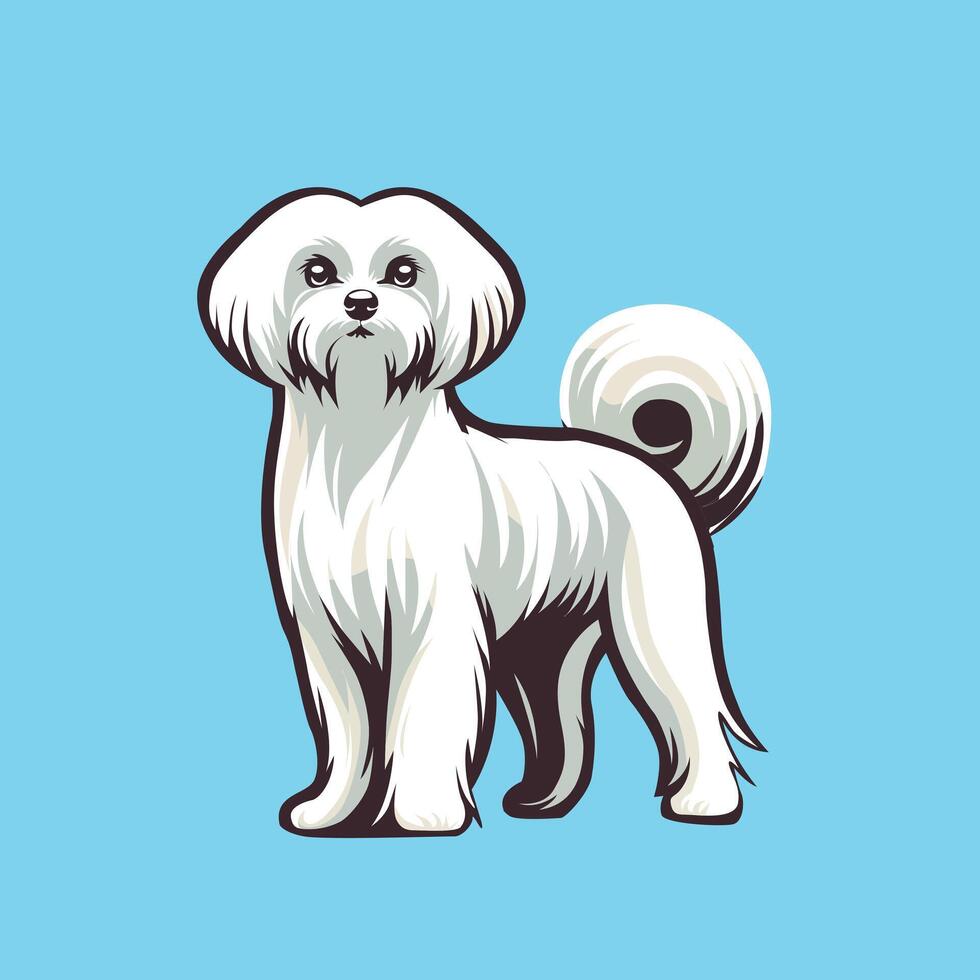 maltese hund stående illustration vektor