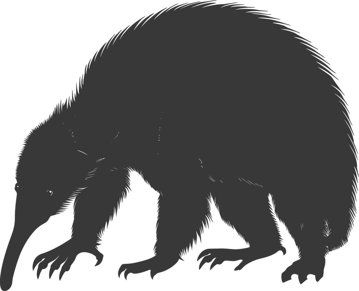 Silhouette Ameisenbär Tier schwarz Farbe nur voll Körper vektor