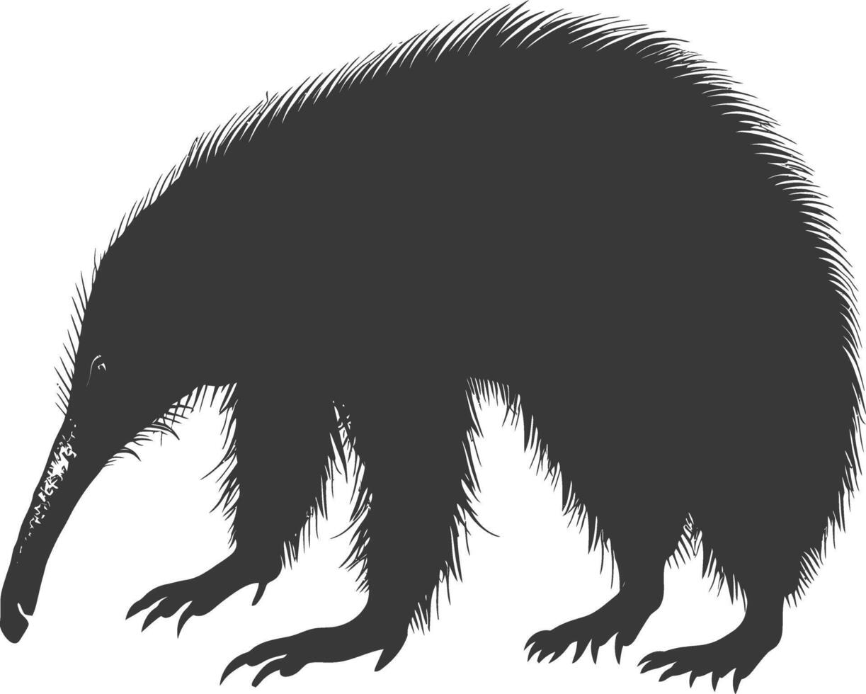 Silhouette Ameisenbär Tier schwarz Farbe nur voll Körper vektor